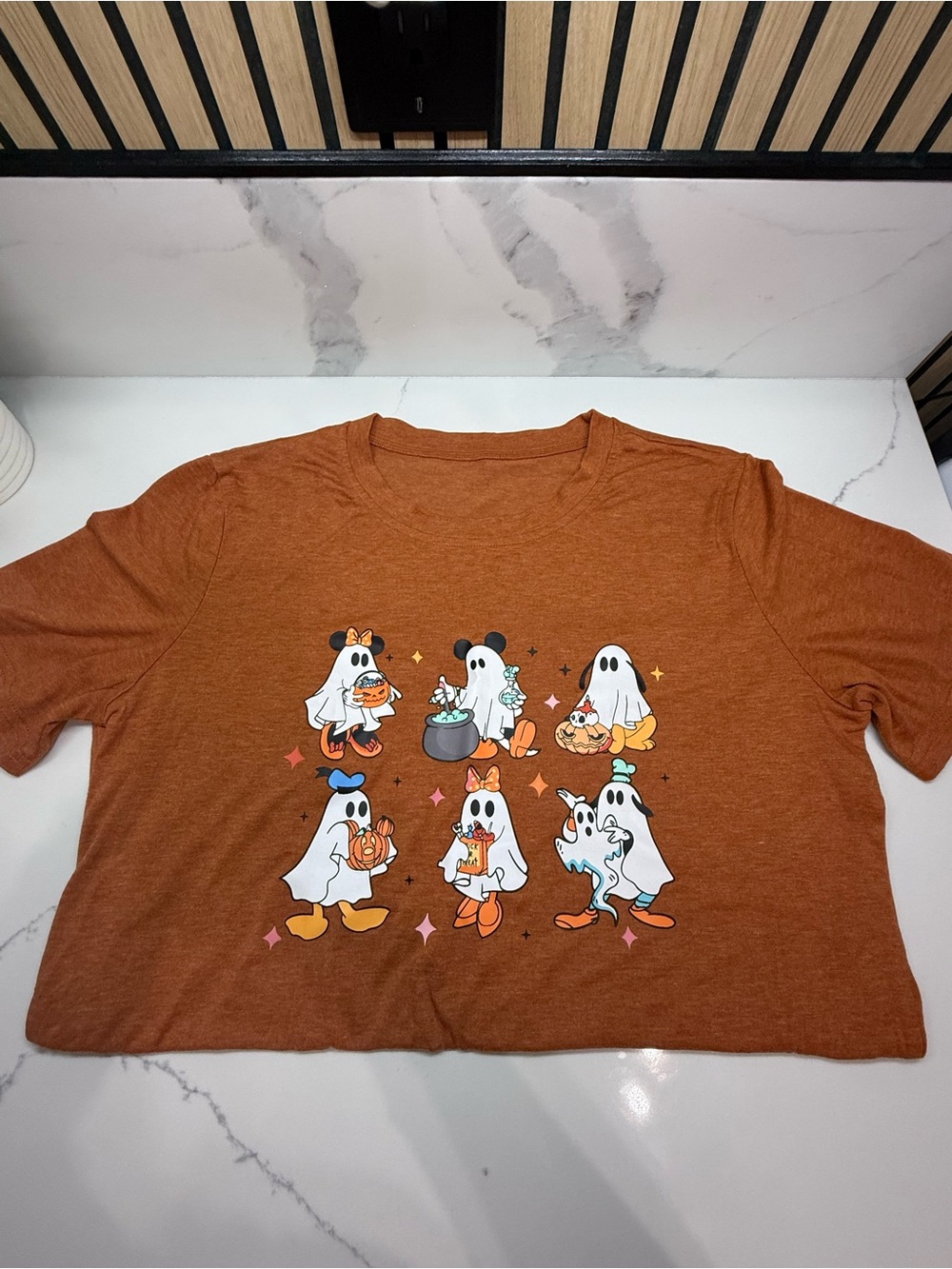 Over sized HalloweenGhost Cartoon Disney Inspired Characters - Rust Orange